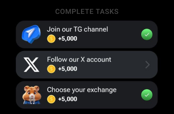 Tasks in the game Hamster